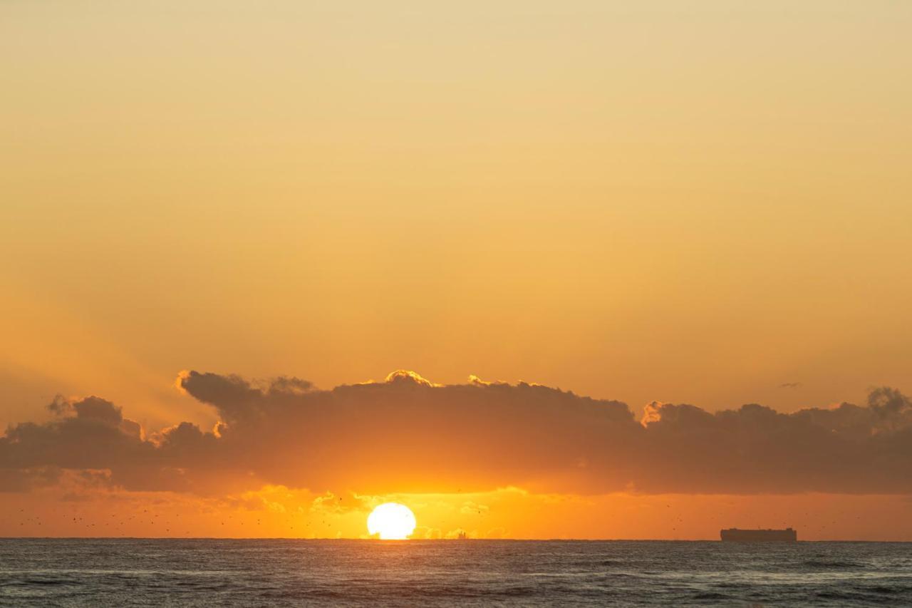 Apartment Oceanus Oasis At Bokarina -stunning Modern Coastal Kawana Waters